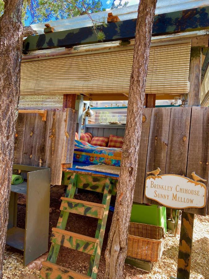 The Chi-Treehouse At Sunny Mellow Eco Villa Tijeras Exterior photo