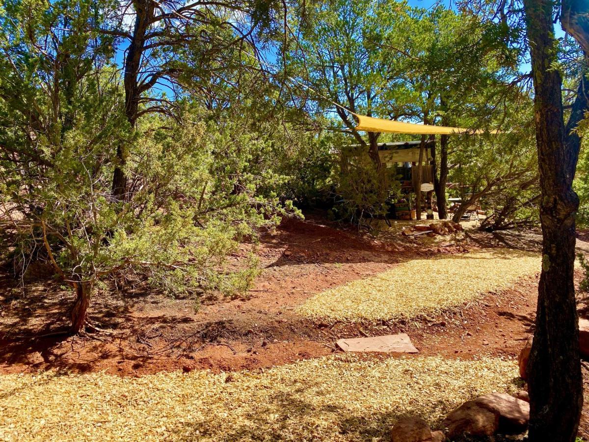 The Chi-Treehouse At Sunny Mellow Eco Villa Tijeras Exterior photo