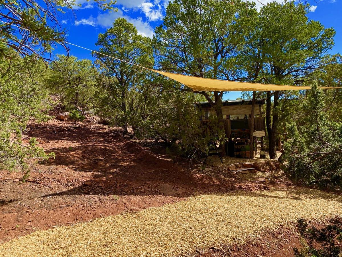 The Chi-Treehouse At Sunny Mellow Eco Villa Tijeras Exterior photo