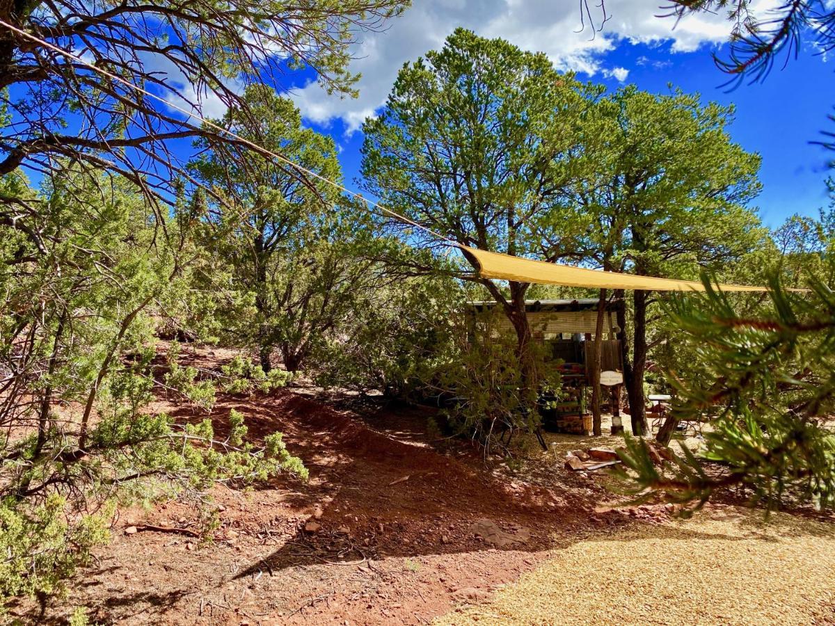 The Chi-Treehouse At Sunny Mellow Eco Villa Tijeras Exterior photo