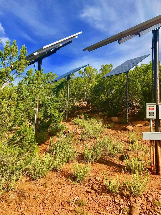 The Chi-Treehouse At Sunny Mellow Eco Villa Tijeras Exterior photo